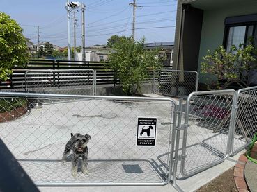 犬舎の様子